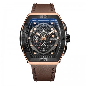 Expedition 6800 Rosegold Brown Leather MCLBRBA